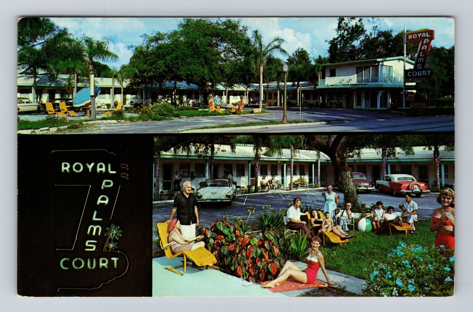 Tampa FL-Florida, Royal Palms Court Advertising, Vintage Souvenir Postcard