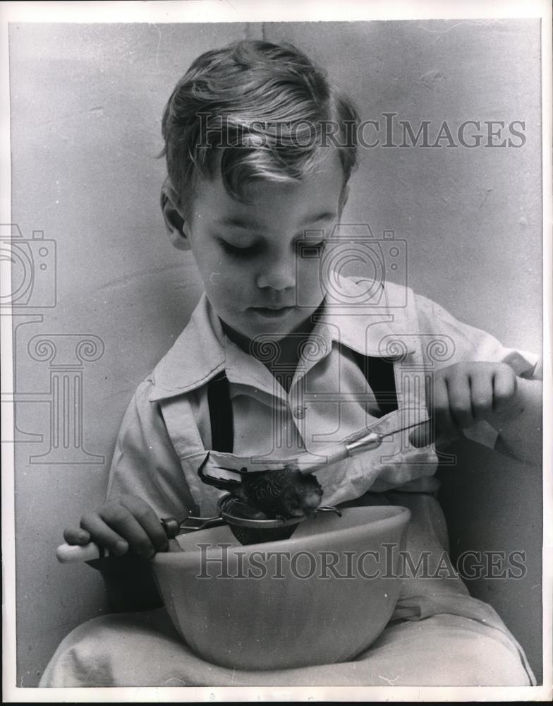 1956 Press Photo Richard bathed Nicky the bird