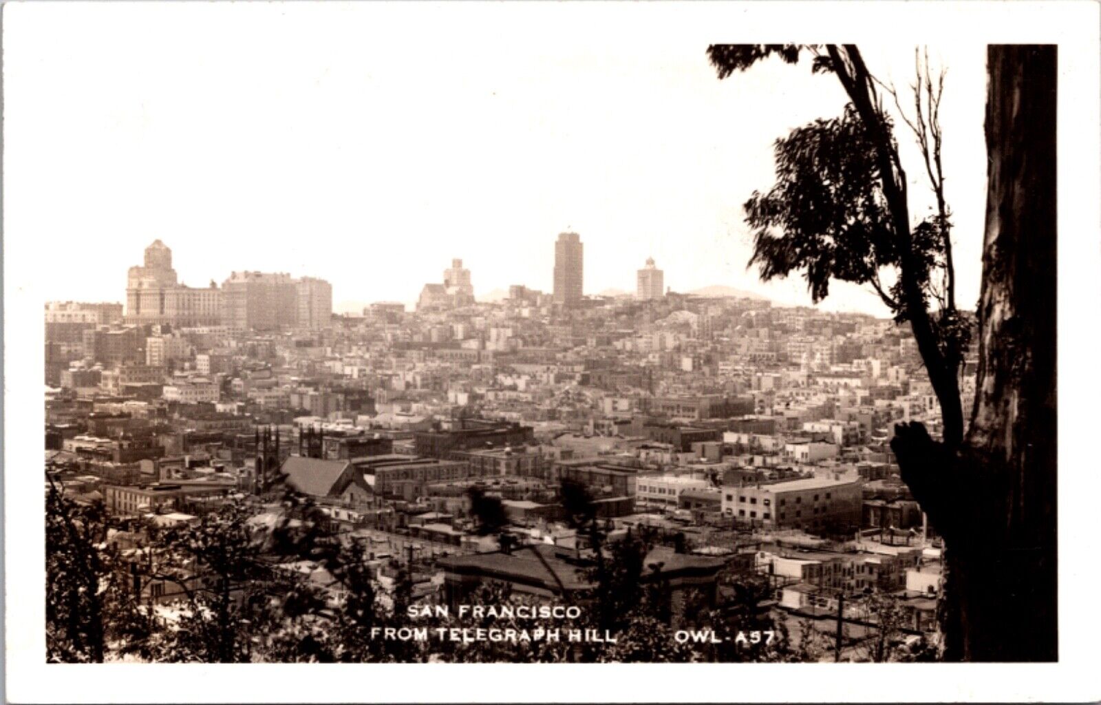 Real Photo Postcard View of San Francisco from Telegraph Hill, California