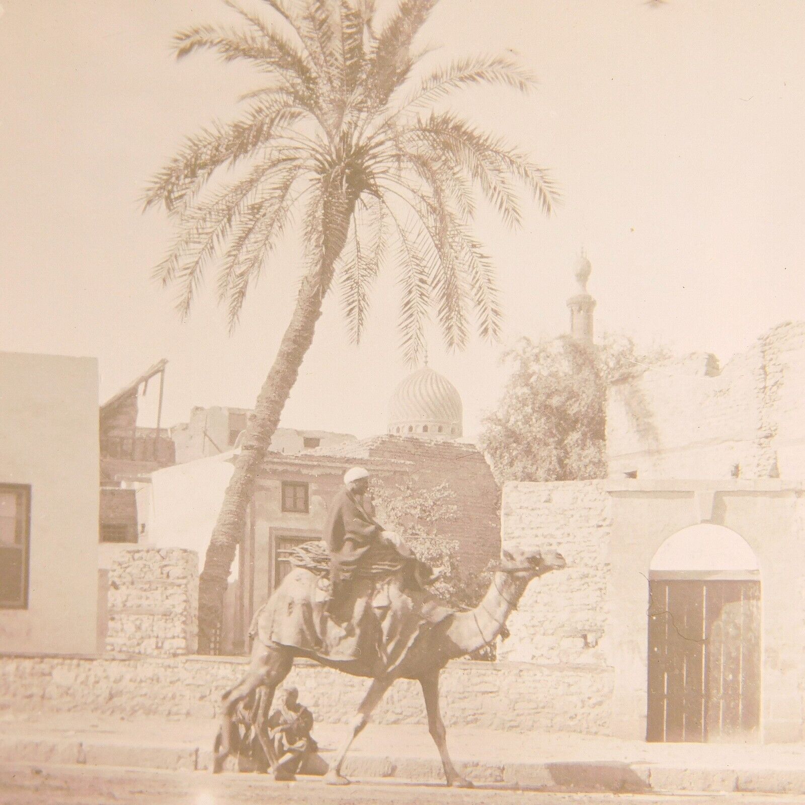 c.1900s Glass Plate Image Man Riding Camel Middle East Nomad  Beirut 3-1/4x4