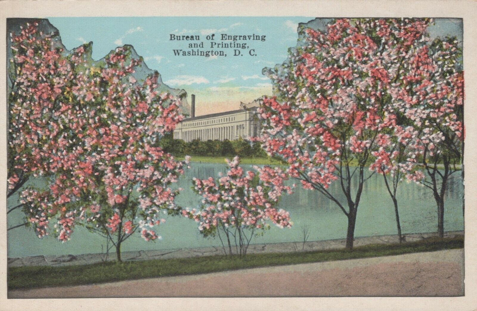 Washington DC Bureau of Engraving and Printing Cherry Blossoms Vintage Postcard