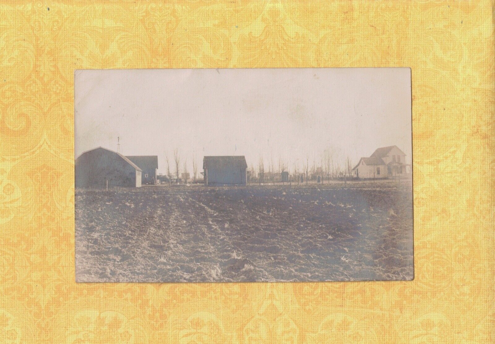 MN Crookston area 1908-29 RPPC real photo postcard FARM & BUILDINGS MINNESOTA