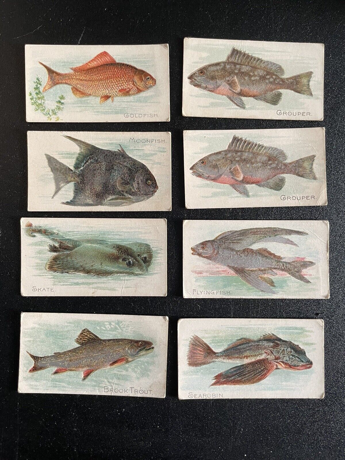 Lot of (8) RARE 1910 Piedmont Cigarette Fish Series Tobacco Cards -
