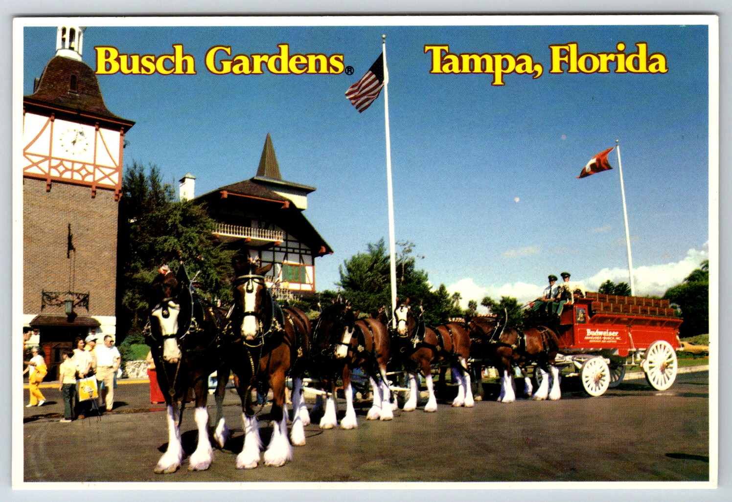 c1980s Busch Gardens Tampa Florida Clydesdales Vintage Postcard