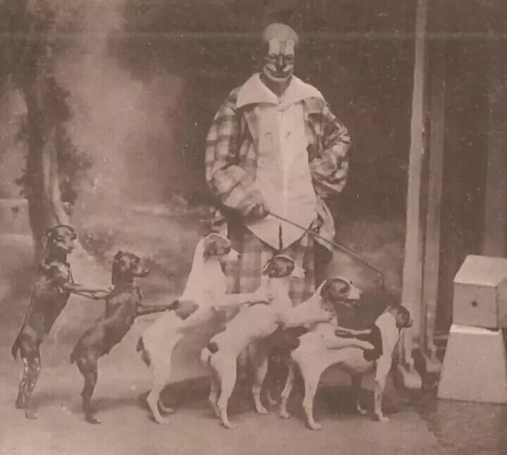 Classique ☆ Antique -Fabolous Photograph Cirque Dogs☆ Rare Card 1927s -RPPC. VTG