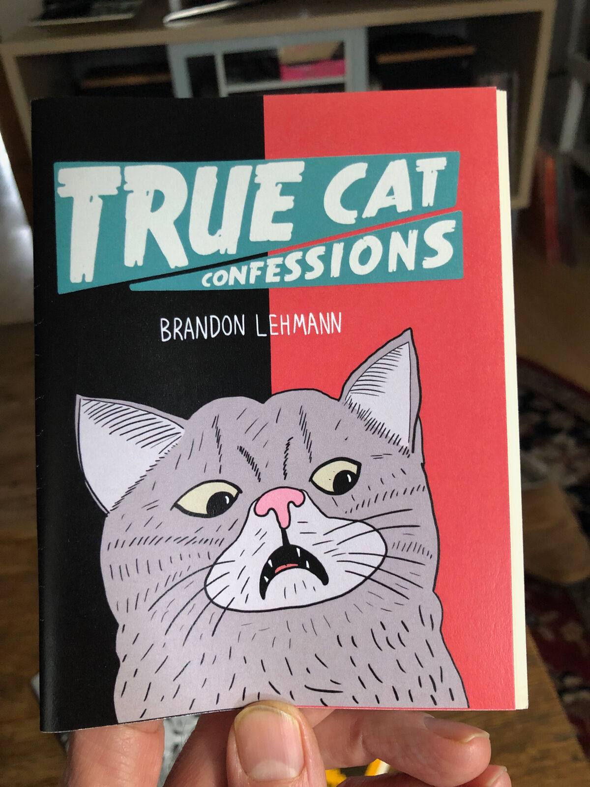 True Cat Confessions comic by Brandon Lehmann