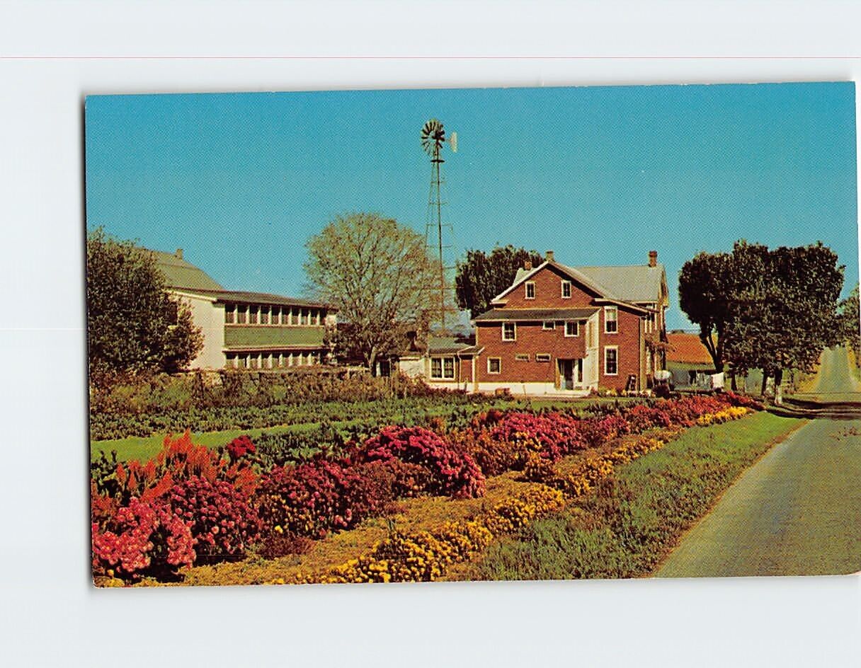Postcard Amish House with Windmill