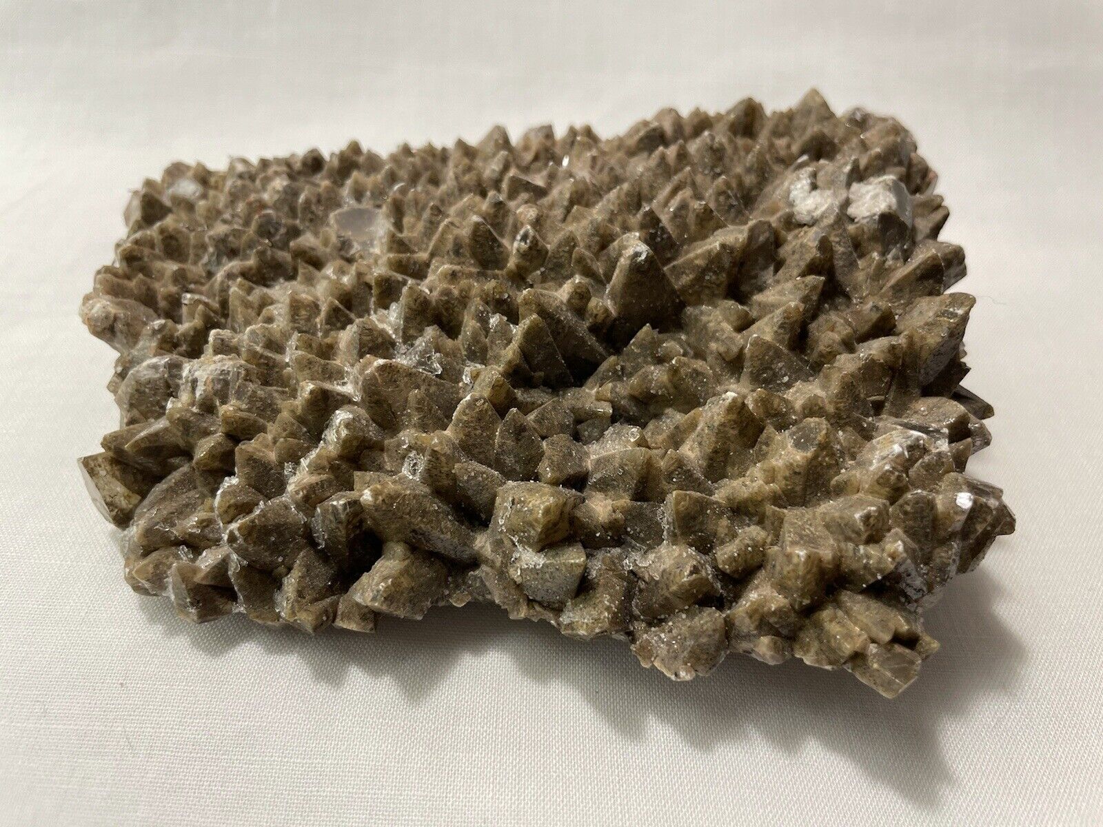 Large Dog Tooth slab natural stone collectibles