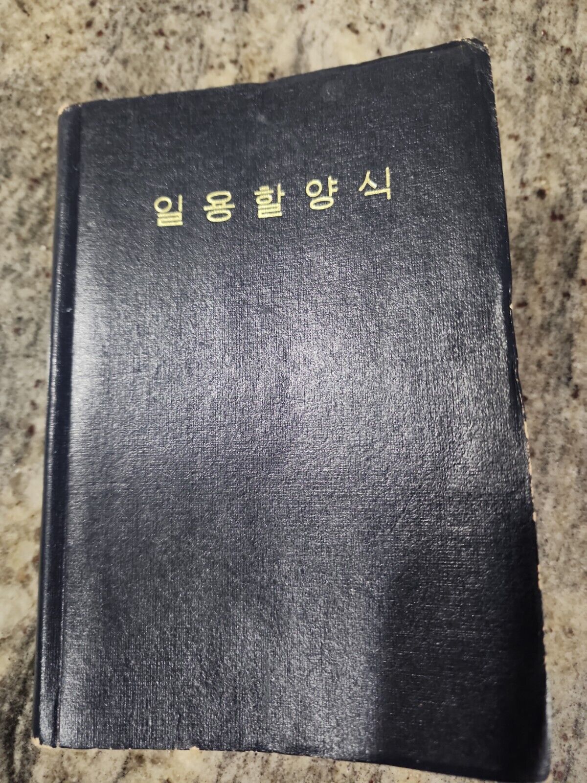 Vintage Asian Hymnal Book. Daily Bread Daily Devotion