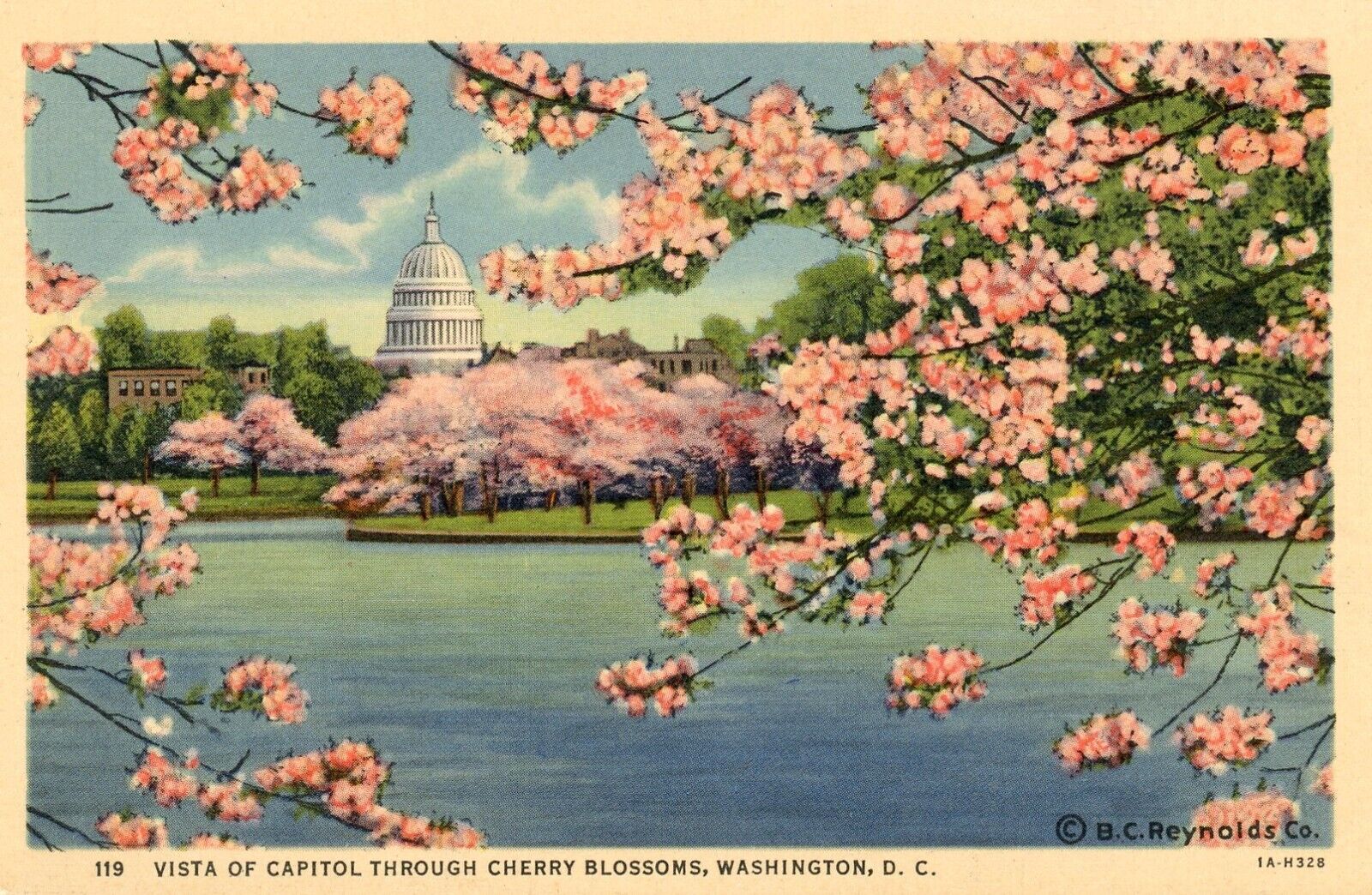 Vista of Capitol through Cherry Blossoms, Washington, DC. 1931 --POSTCARD