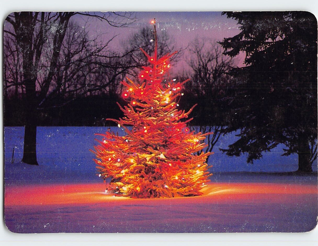 Postcard Wishing you a beautiful holiday with Christmas Tree Scenery