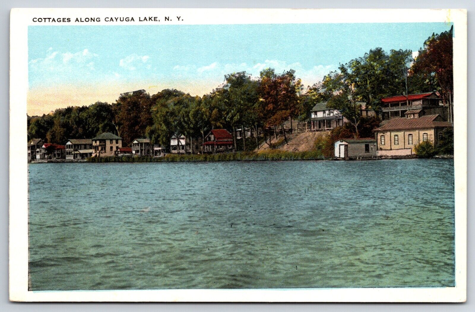 Cottages Along Cayuga Lake New York NY Vintage TICHNOR Postcard