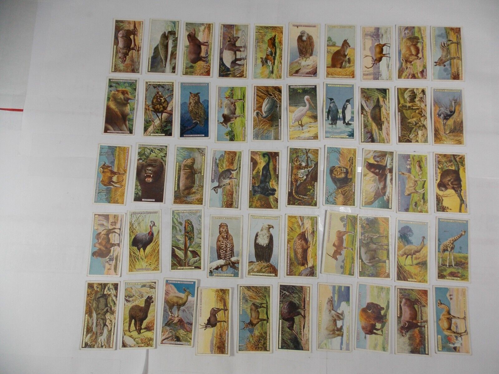 Players Cigarette Cards Natural History 1924 Complete Set 50