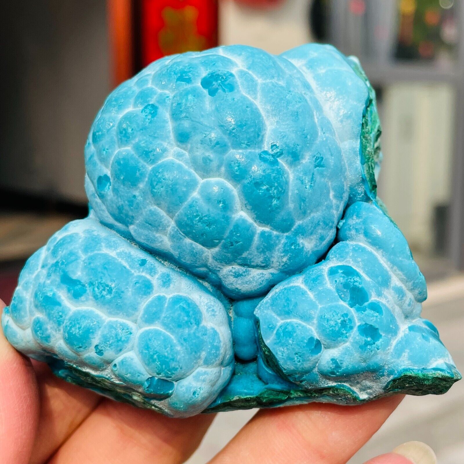 287G Natural Blue Green Chrysocolla Malachite Quartz Rough Mineral Specimen