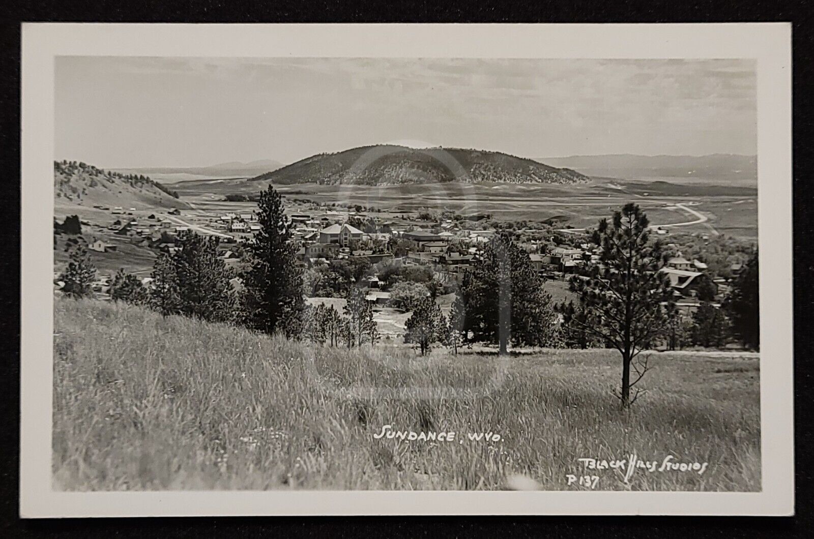 Uncommon RPPC of the Town Sundance, Wyoming. C 1940\'s-50\'s Black Hills Studios