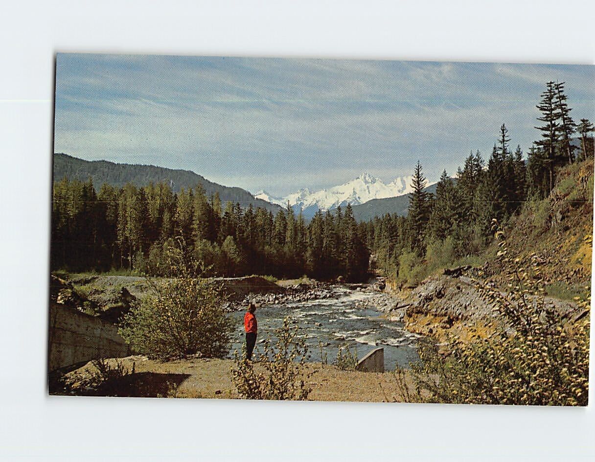 Postcard Cheakamus River Garibaldis Whistler Mountain Beauty Canada