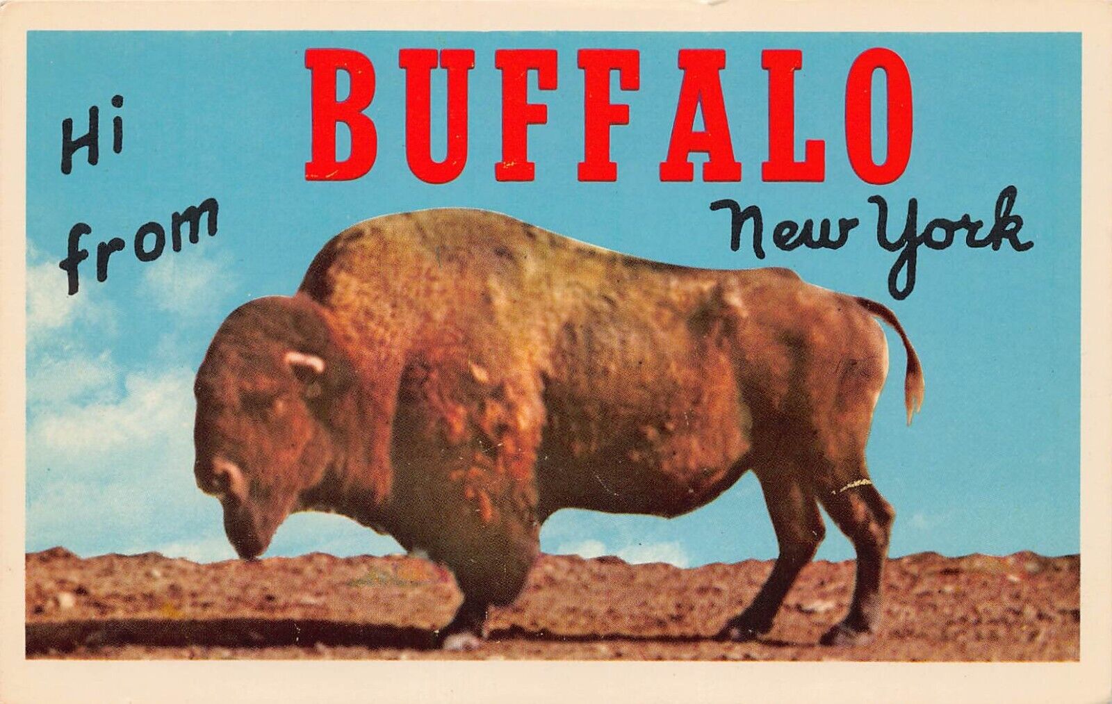 Buffalo New York NY Greetings Hi From Larger Not Large Letter Chrome 3DK-1298 PC
