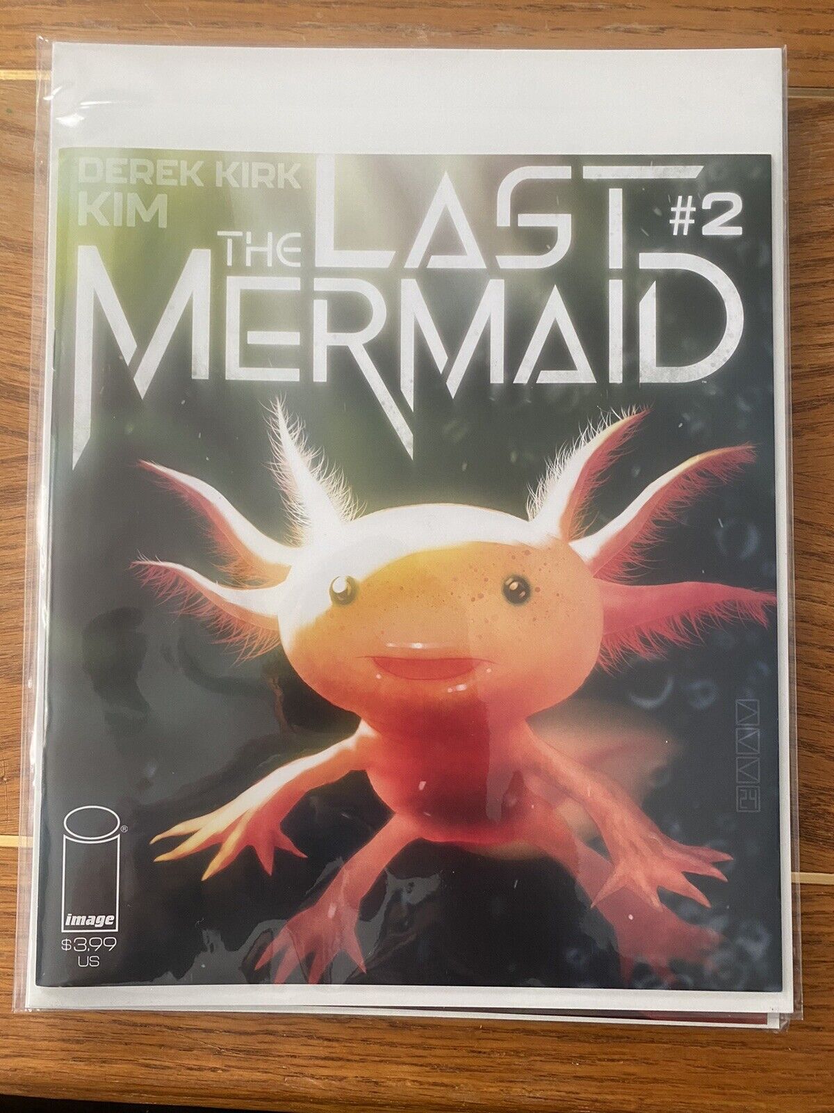 Last Mermaid #2 | Select Cover | Image Comics NM 2024