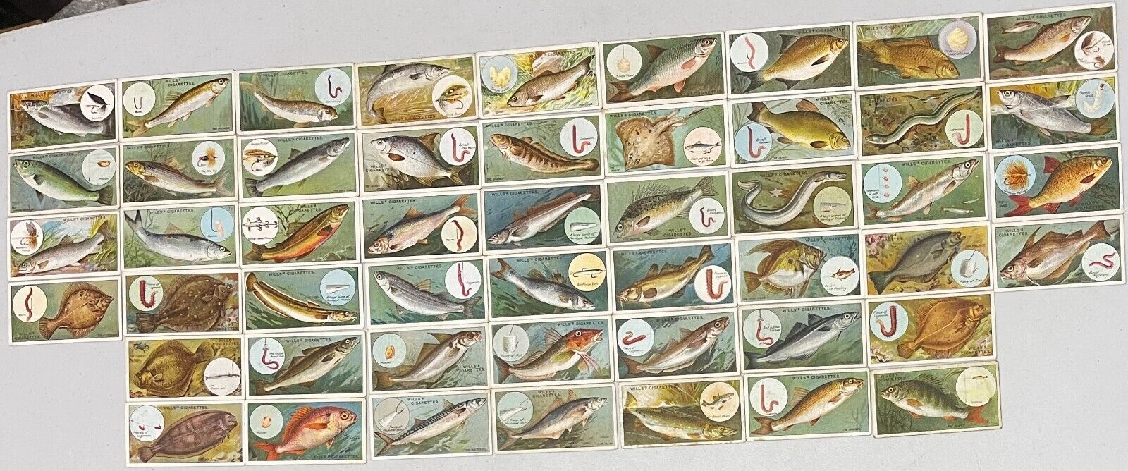 FISH: Complete Set of FIFTY 114 Year Old FISHING Cards