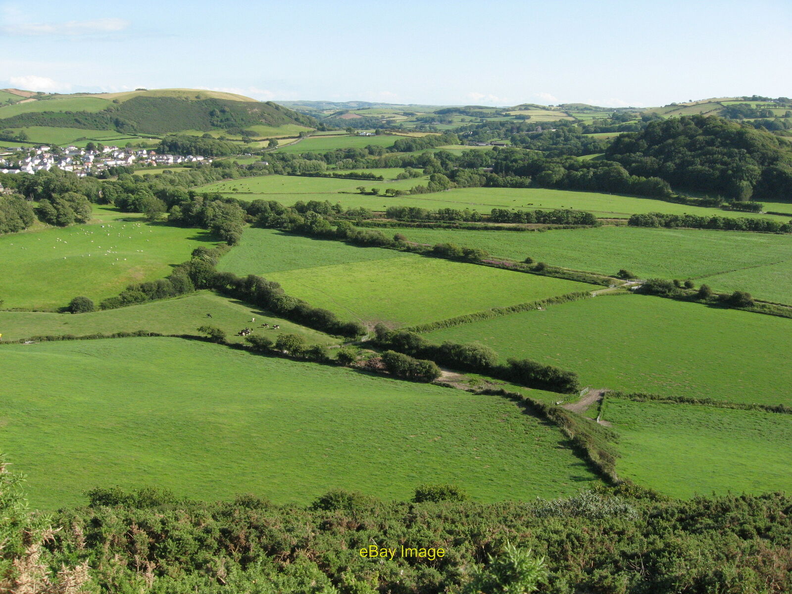 Photo 6x4 View SE from Pen Dinas  c2011