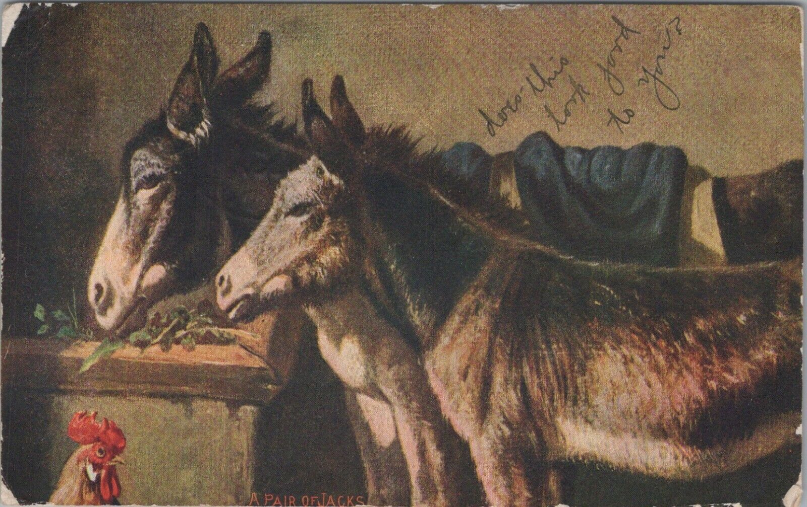 A Pair Of Jacks Couple Of Donkeys Rooster Posted Divided Back Vintage Post Card