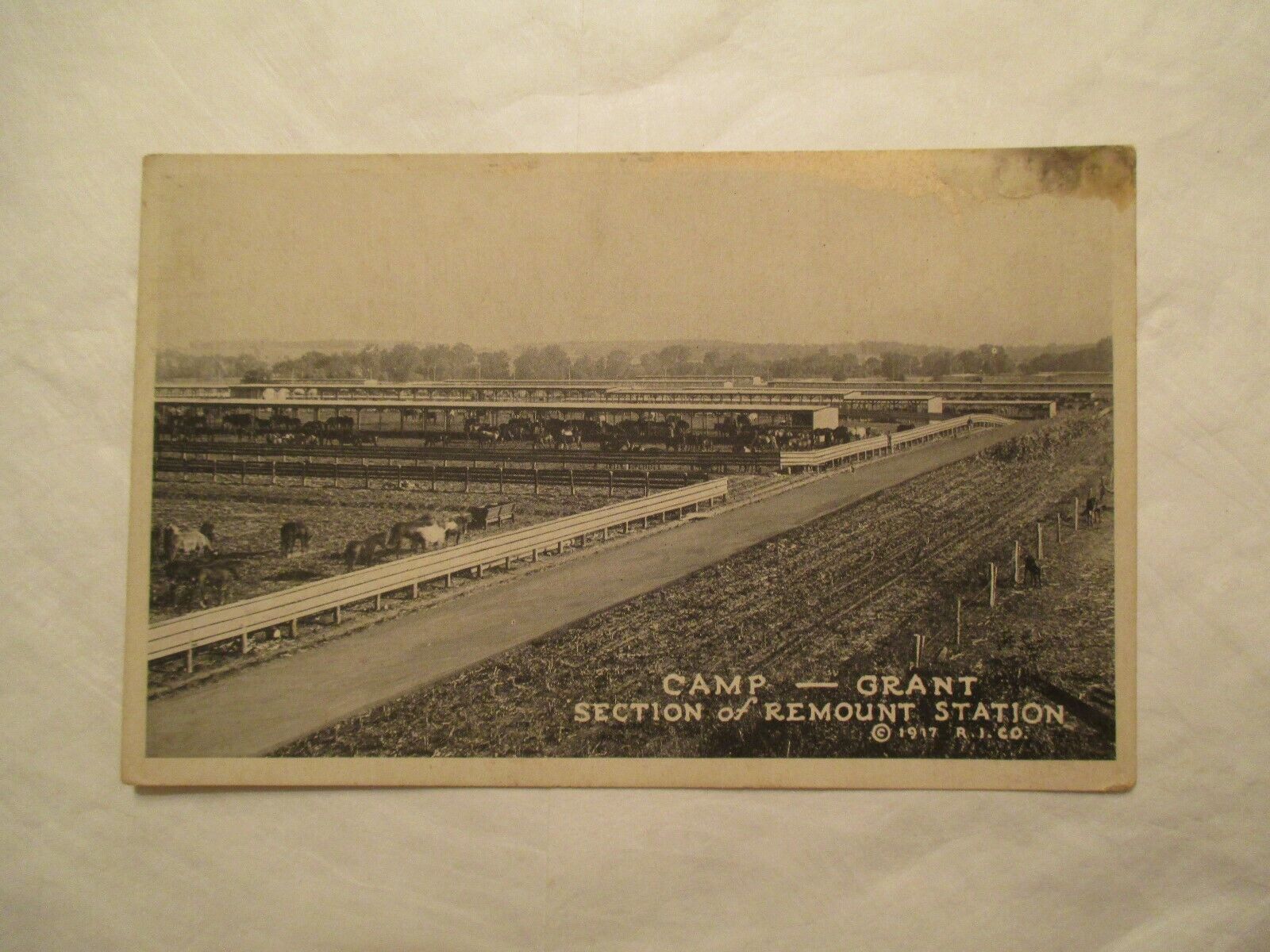 Camp Grant Military Section of Remount Station Illinois IL Postcard