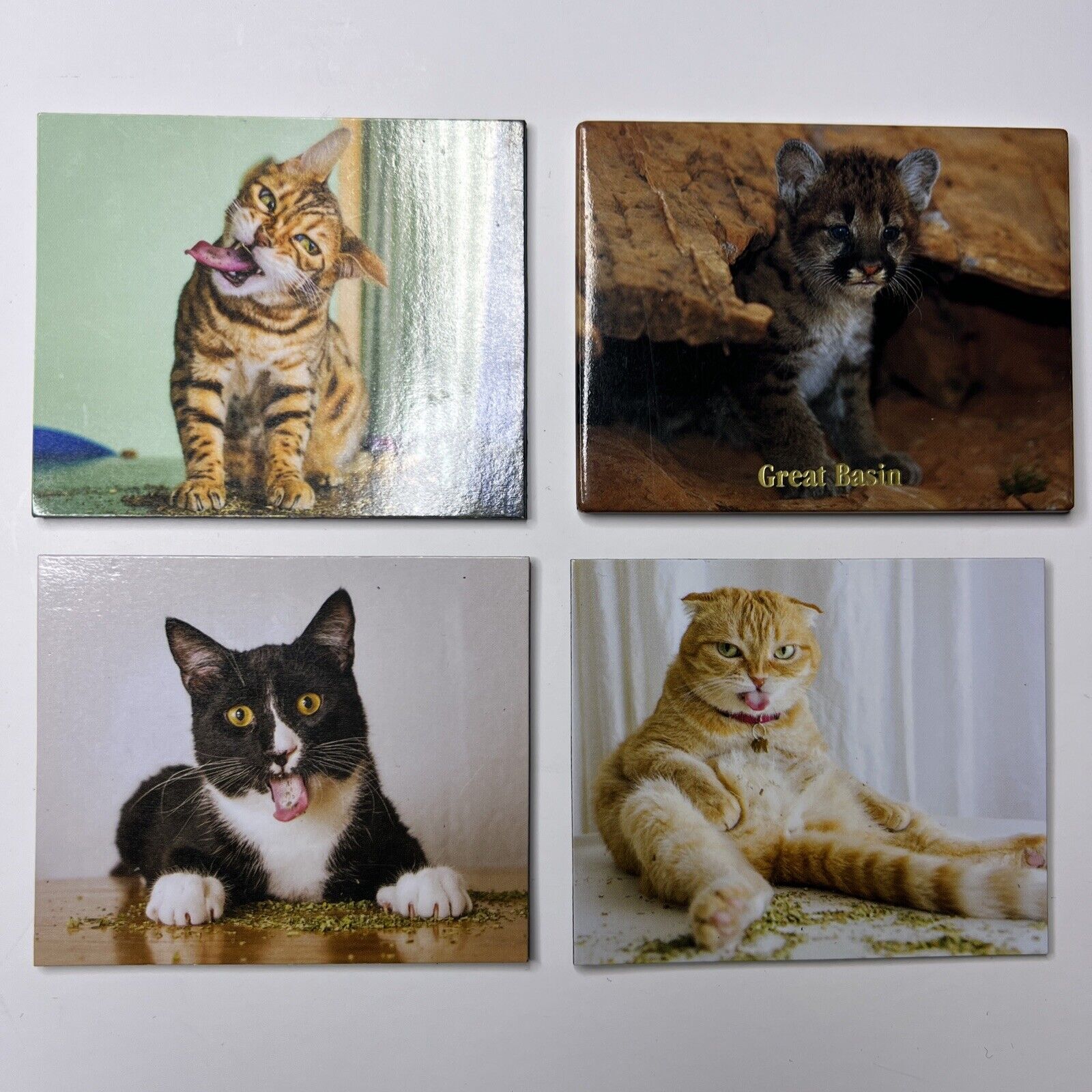 4PC Funny Cat Magnets | 3” X 2” Magnet for Fridge Kitchen