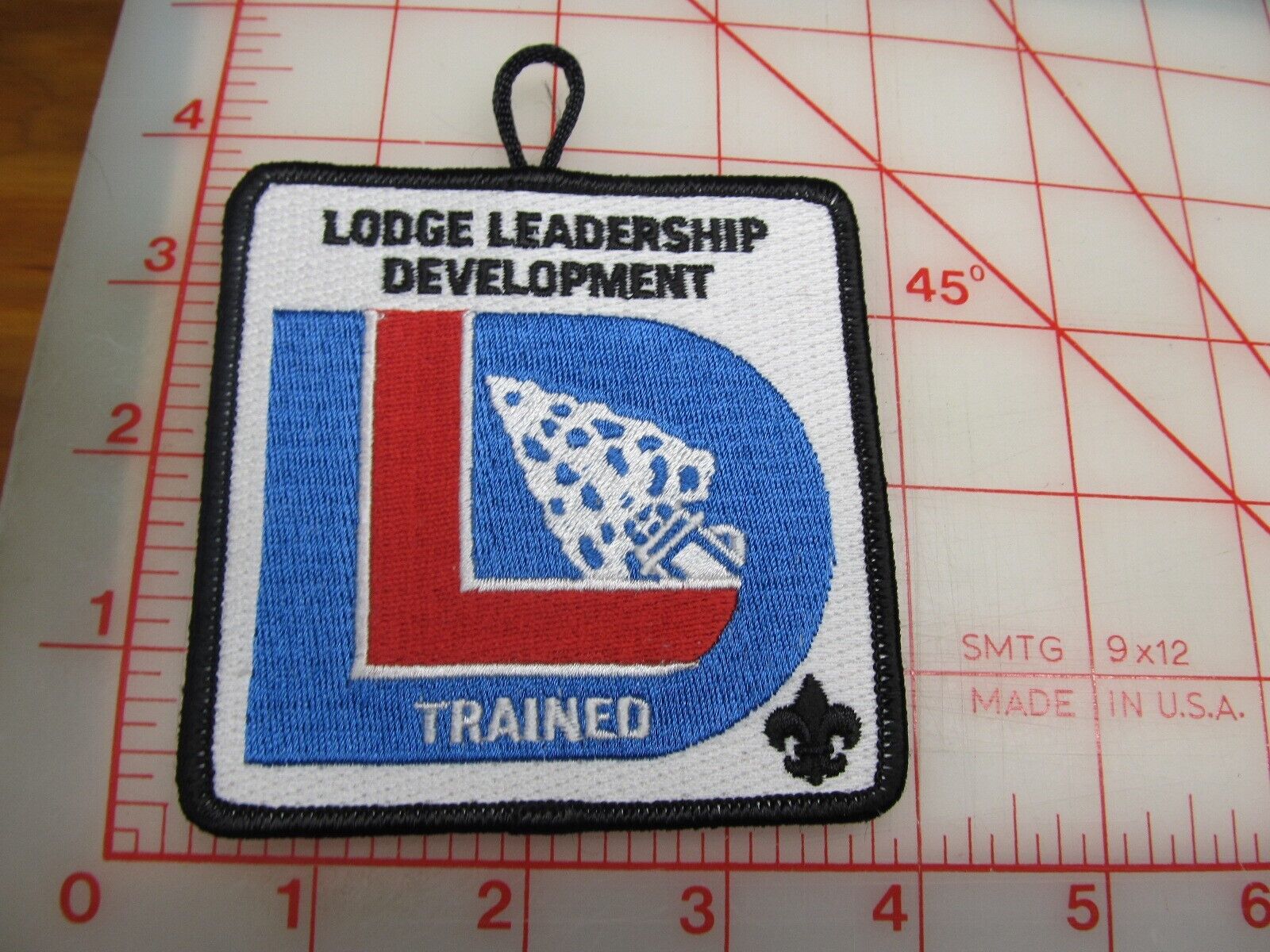 OA Lodge Leadership Development collectible patch (b36)