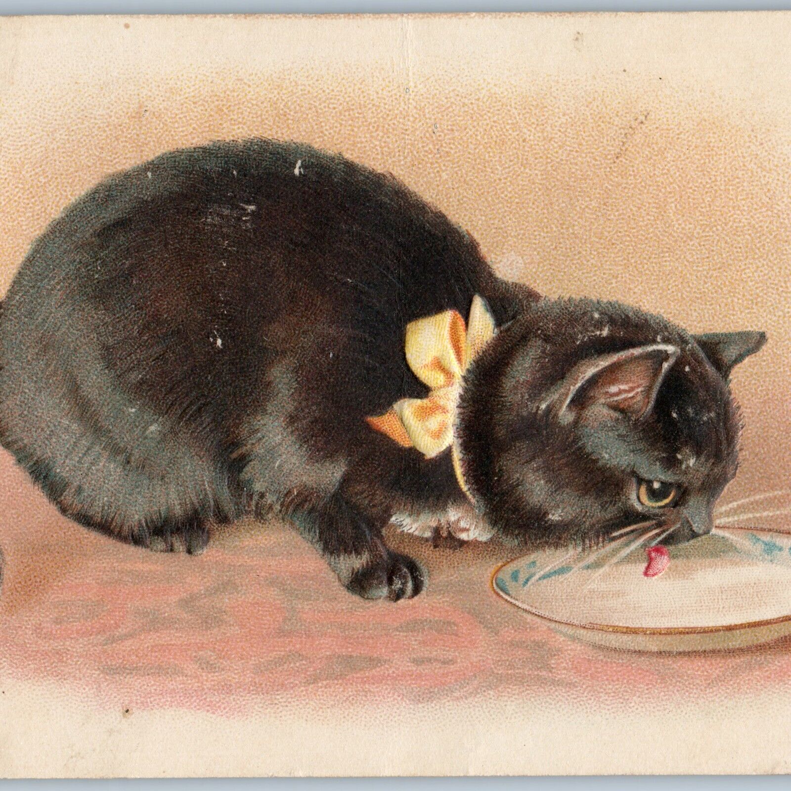 c1910s Embossed Cute Black Cat Drinking Milk Kitten Eating Water Postcard A190