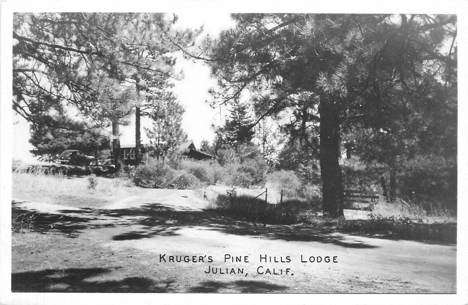 Postcard RPPC 1940s California Julian Kruger\'s Pine Hills Lodge CA24-1403