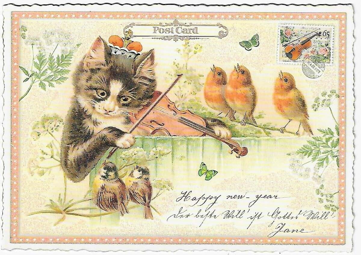 Postcard Glitter Tausendschoen Cat Playing Violin Postcrossing Anthropomorphic