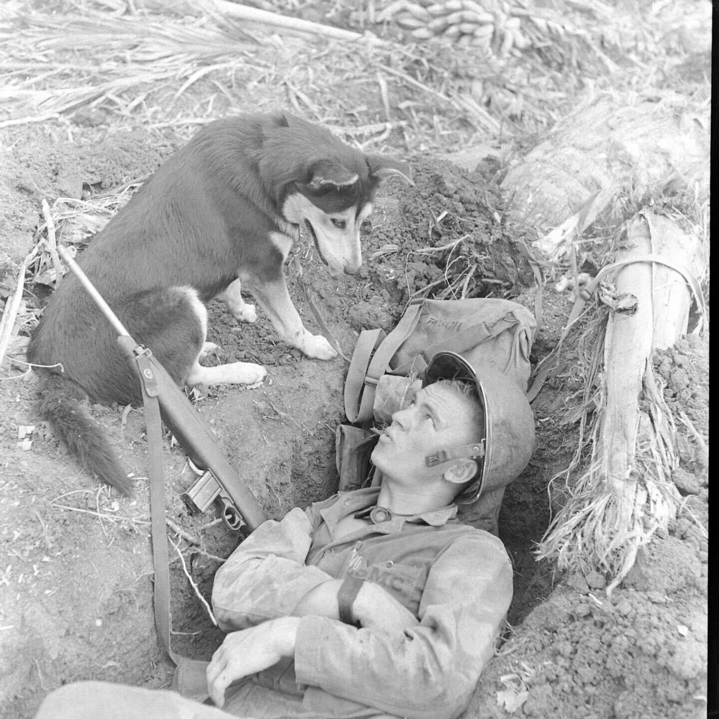 WW2 WWII Photo World War Two / US Marine & War Dog Guam 1944 USMC
