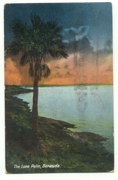 Bermuda ~ The Lone Palm c1935 Postcard