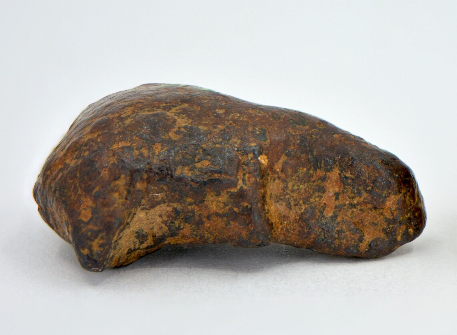 7.6 gram NWA 859 TAZA meteorite - Ungrouped Iron Meteorite I TOP METEORITE
