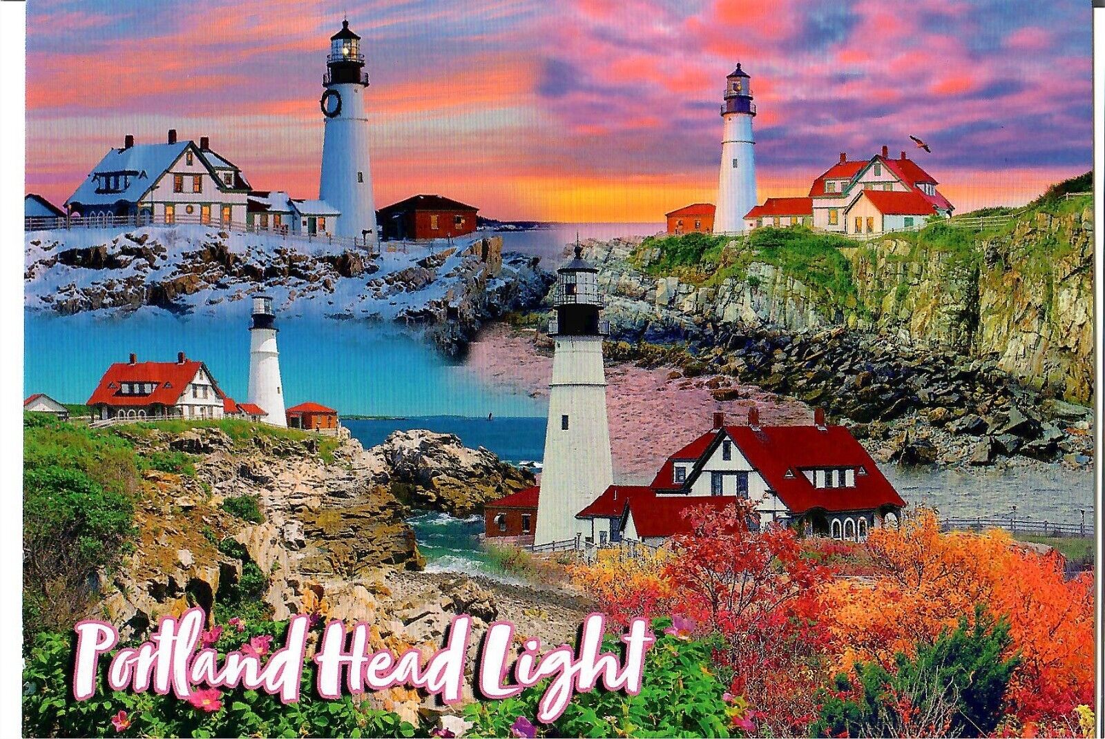 NEW 4x6 Unposted Postcard Maine Portland Head Light Lighthouse Ocean Beach Multi