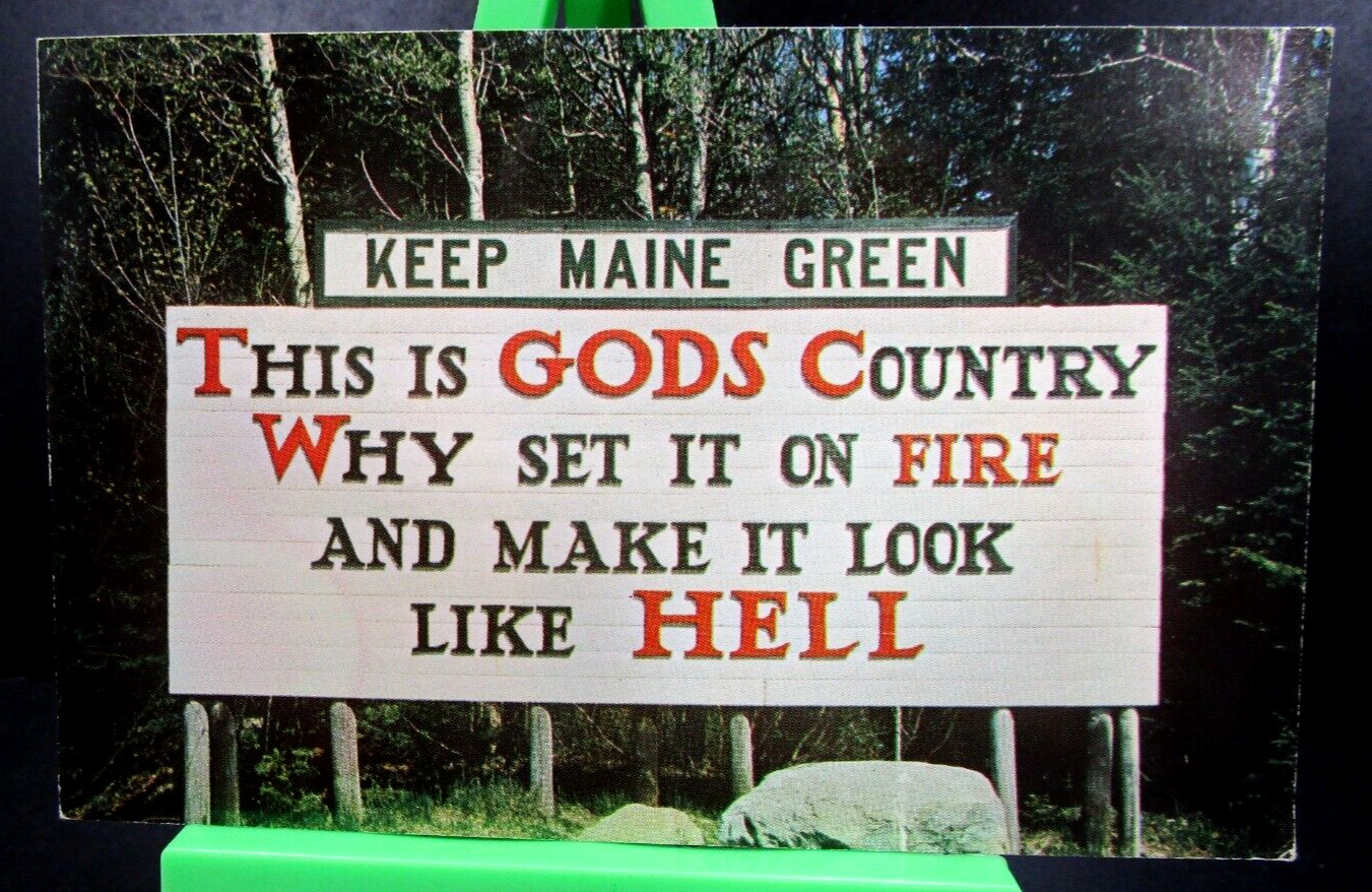 Postcard- Maine - Ko-Kadjo - Keep Maine Green This is God\'s Country woods slogan