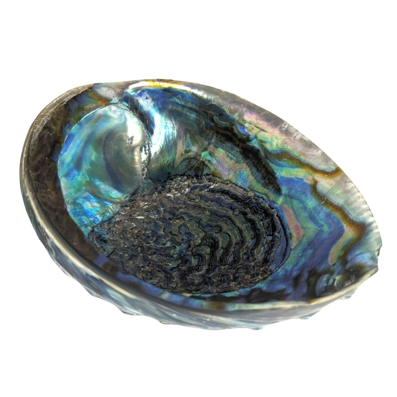 Vintage Paua Rainbow Abalone Shell Large Seashell Smudging Bowl