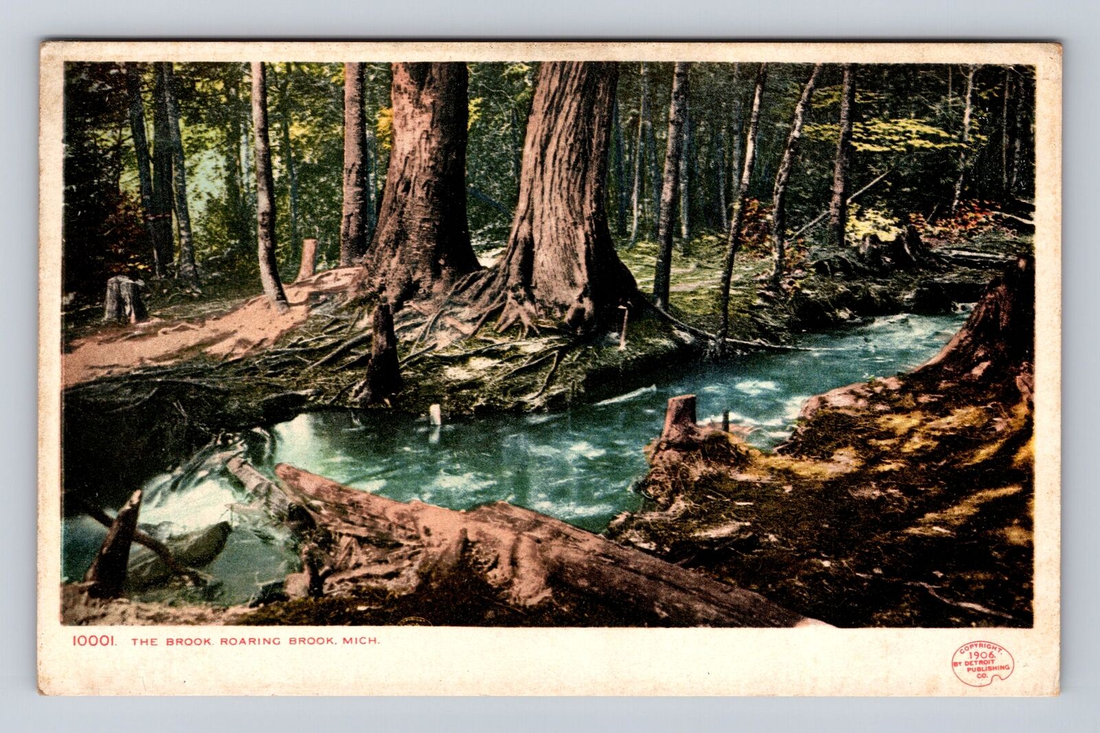 Roaring Brook MI-Michigan, Scenic View Of The Brook, Antique, Vintage Postcard