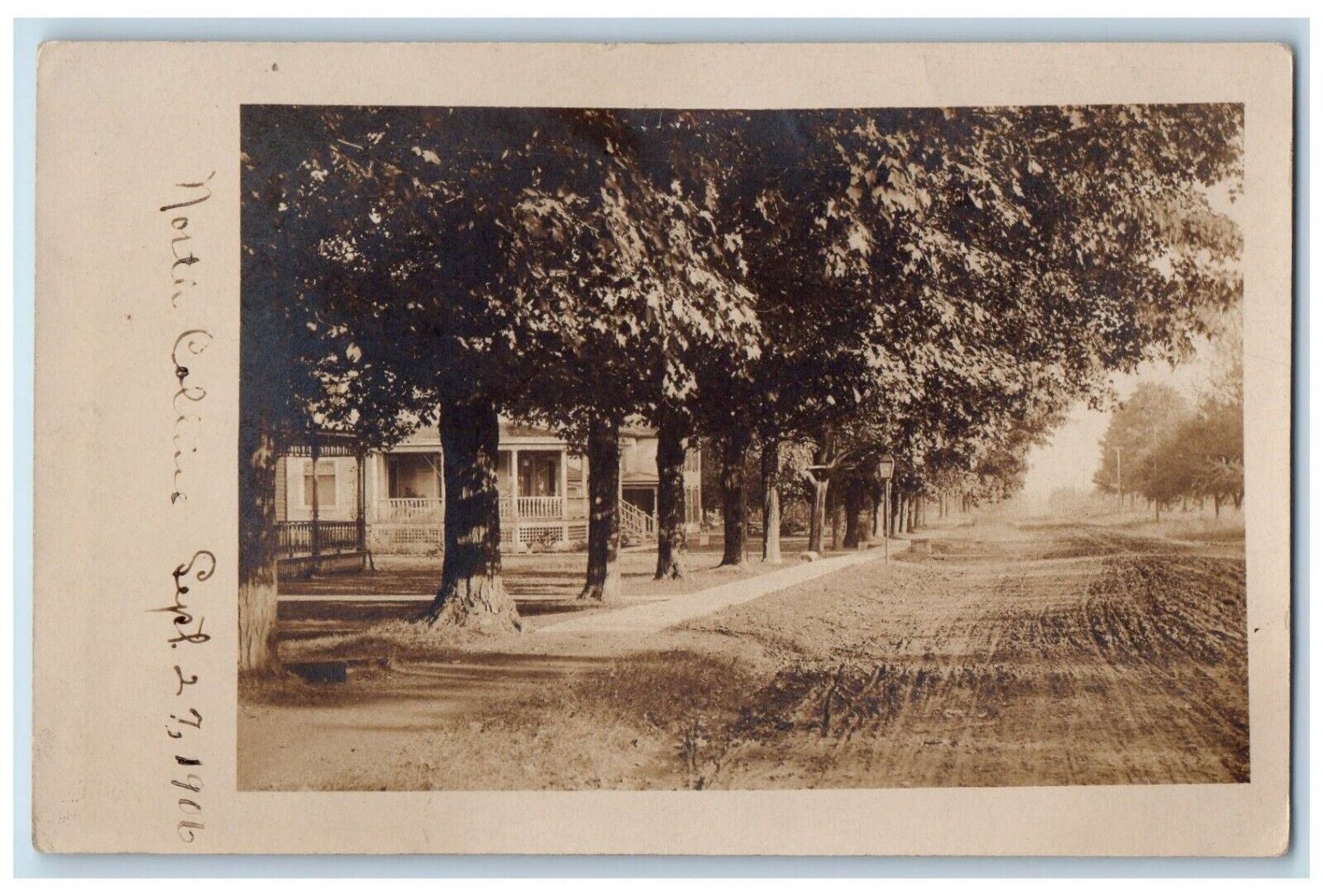 1906 Tree Row Residence North Collins New York NY RPPC Unposted Photo Postcard