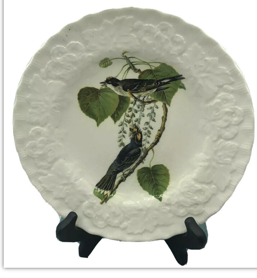 VINTAGE Plate MEAKIN Kingbird AUDUBON BIRD\'S OF AMERICA Fun