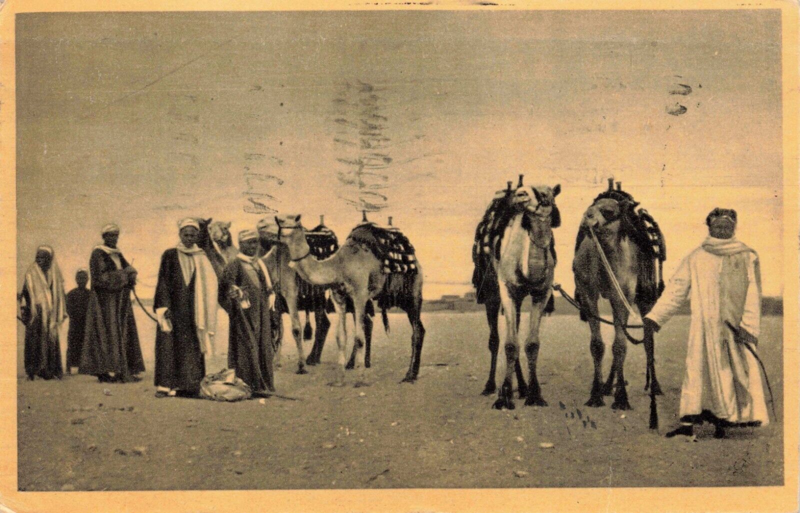 Postcard Egypt Cairo Group Of Natives With Their Camels