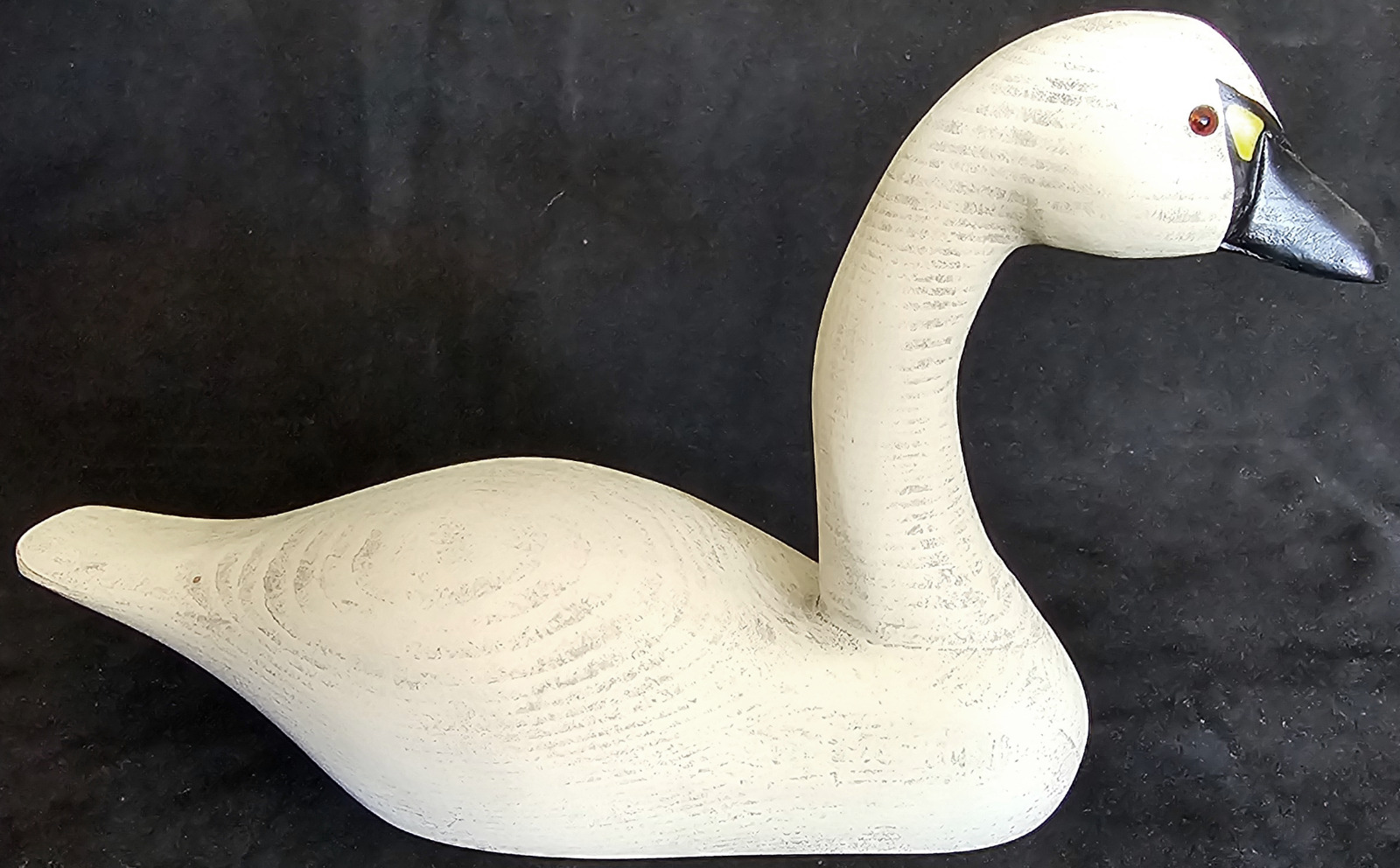 Carved Trumpeter Swan White Medium sized 5.25\