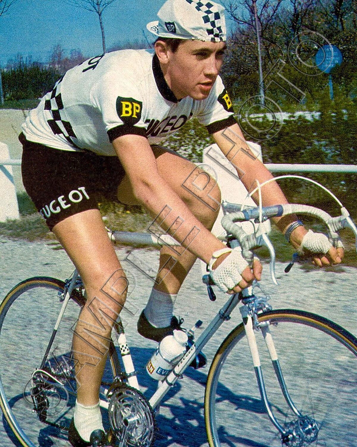 Eddy Merckx 1967 Tour de France World Famous Cyclist 8x10 Photo #2