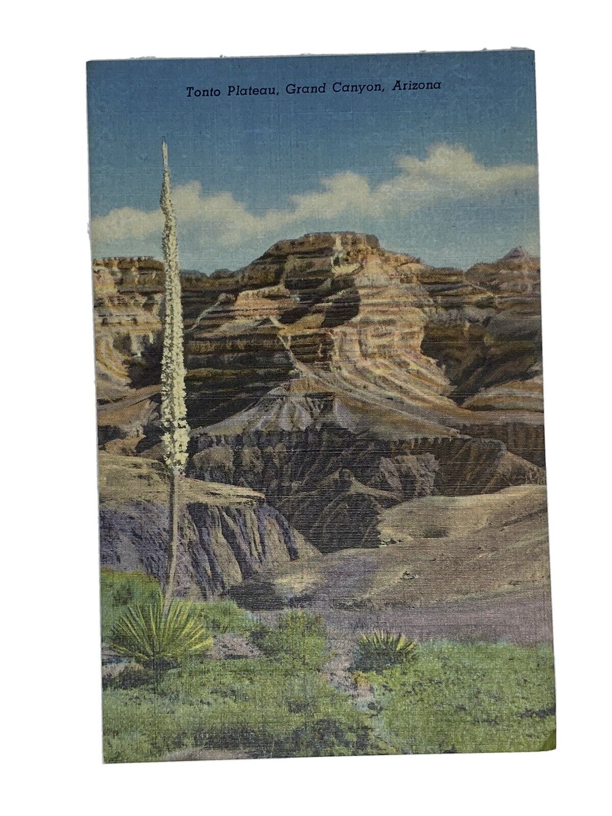 Ppc Postcard AZ Arizona Tonto Plateau Info Card