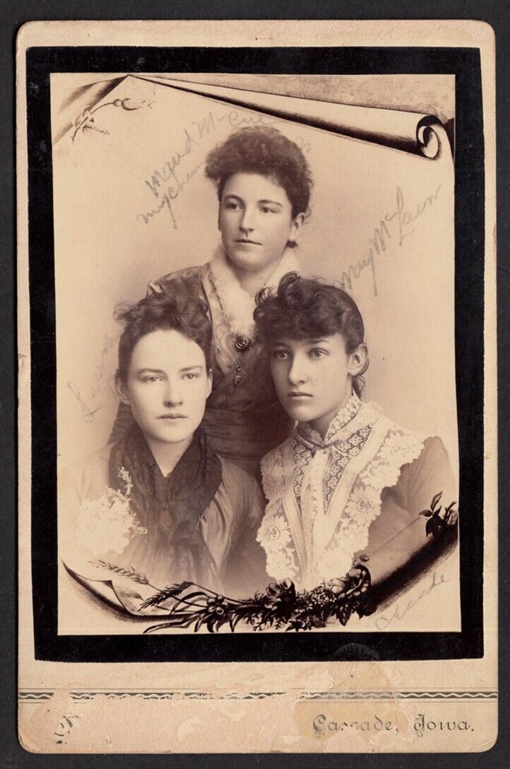 ELEGANT GORGEOUS SOMBER BEST FRIEND WOMEN ~ 1880s CASCADE IA CABINET PHOTO