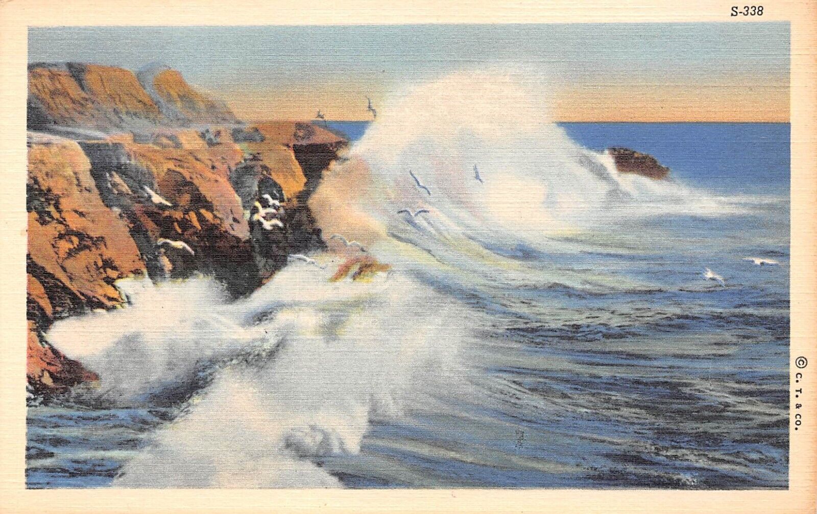 D2111 Waves & Gulls, 1 of 10 C. T. Water Scenes S-338, 1938 Teich Linen Postcard