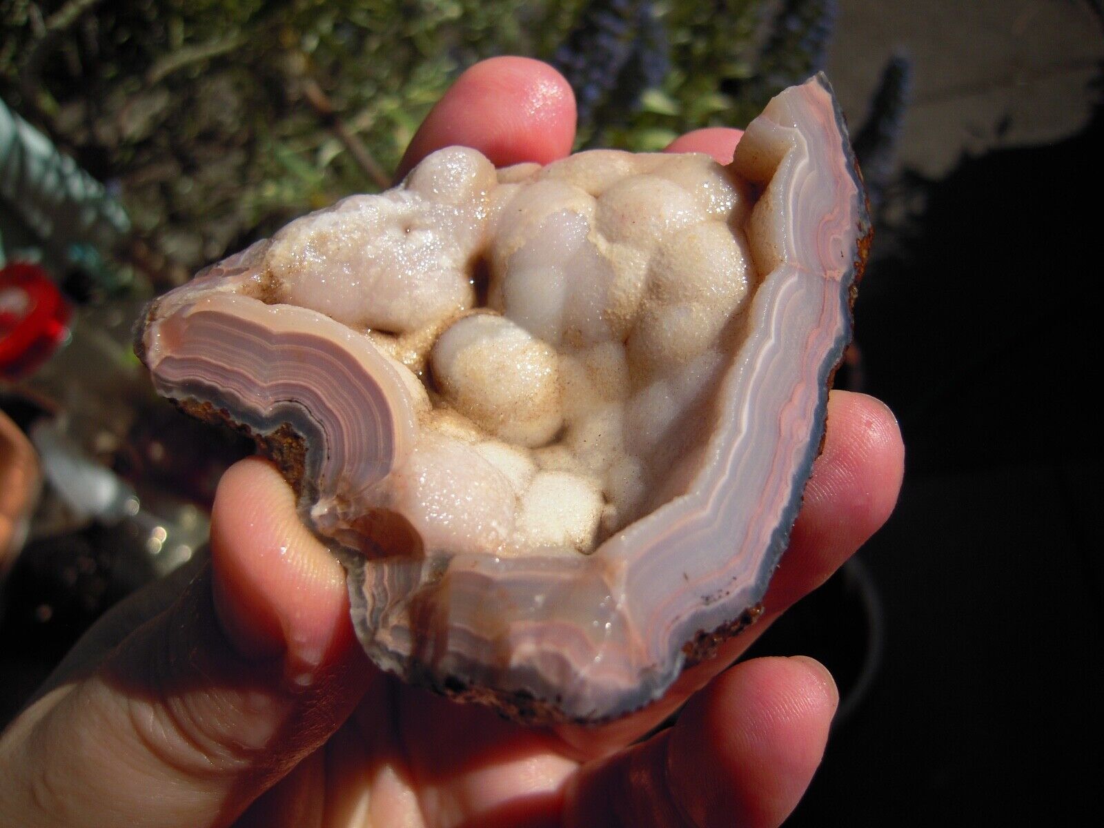 Druzy Pink Lavender Laguna Agate Banded Rough, Mexico, Lapidary/Display