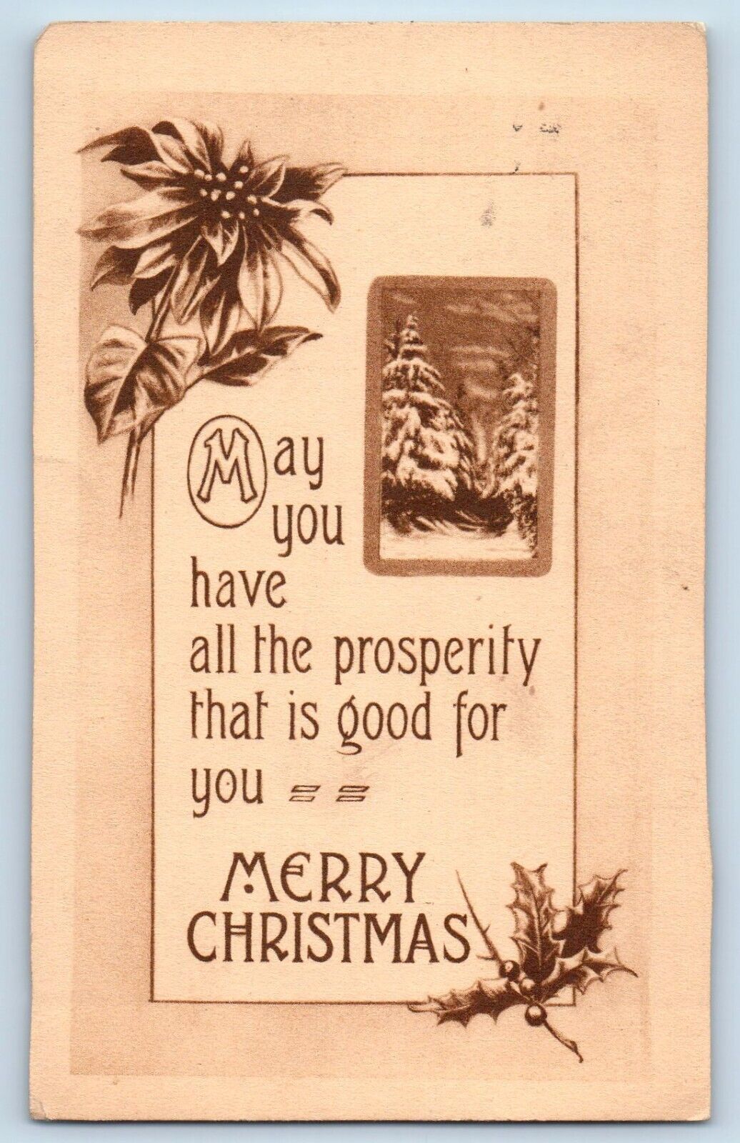 Crookston MN Postcard Christmas Message Poinsettia Flowers Winter Scene c1910\'s