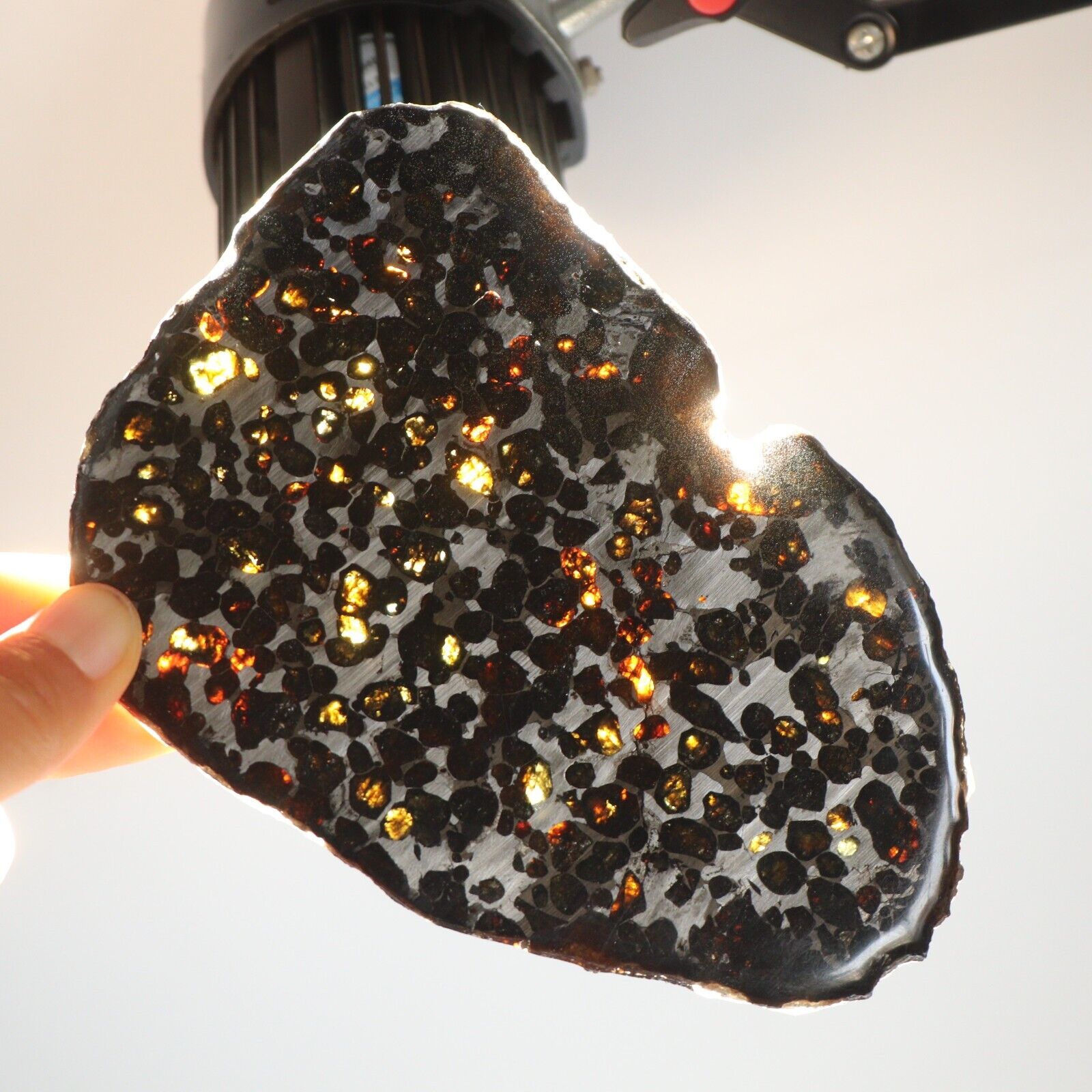 158g Slice meteorites, Rare slices of Kenyan Pallasite olive meteorite B2808