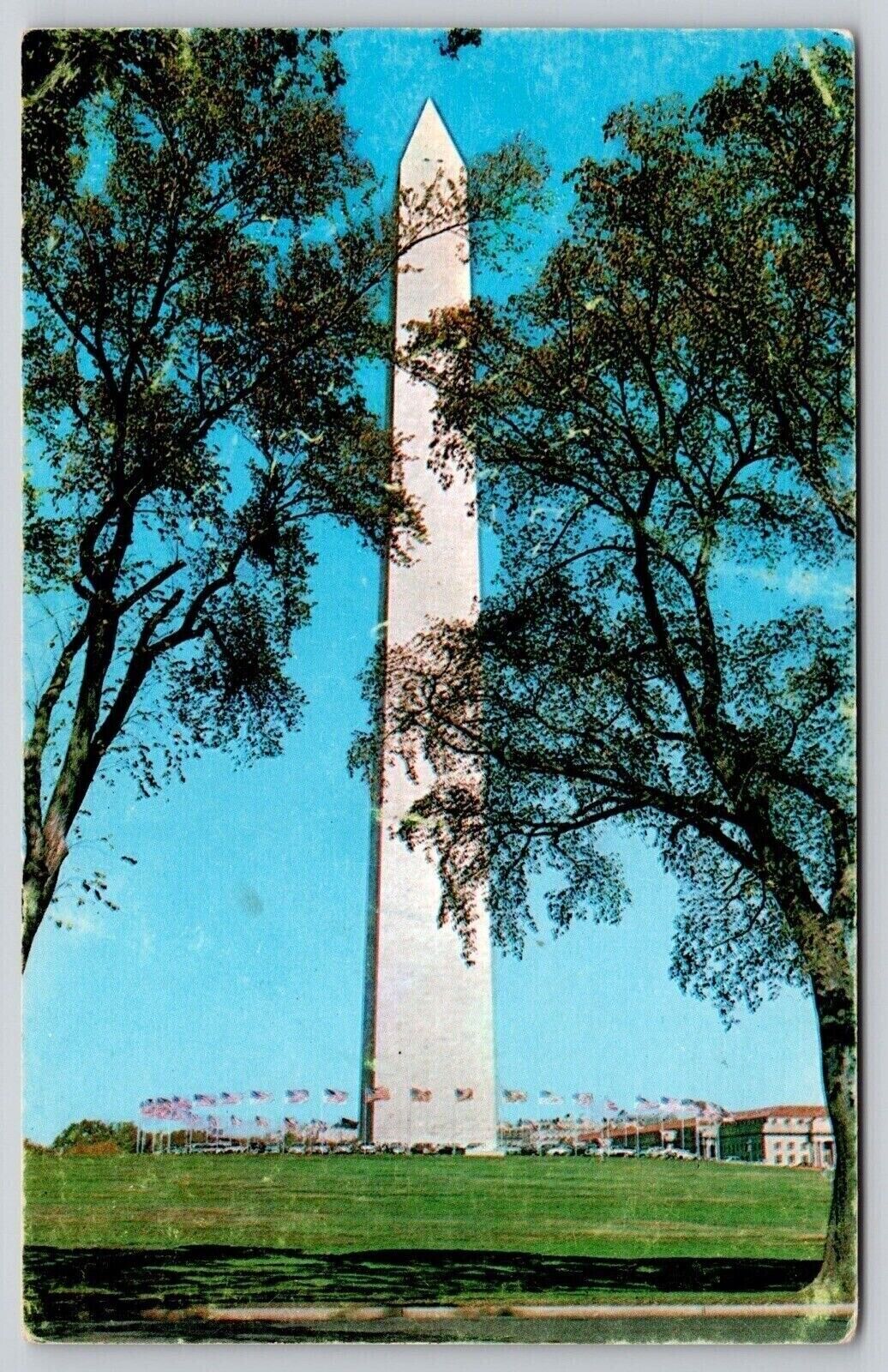 Washington DC George Washington National Monument Chrome WOB UNP Postcard